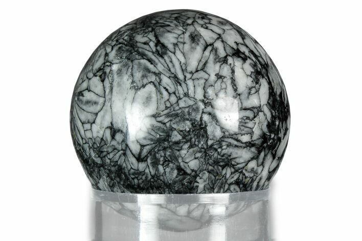 Polished Pinolite Sphere - Austria #343943